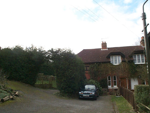 Front View 2